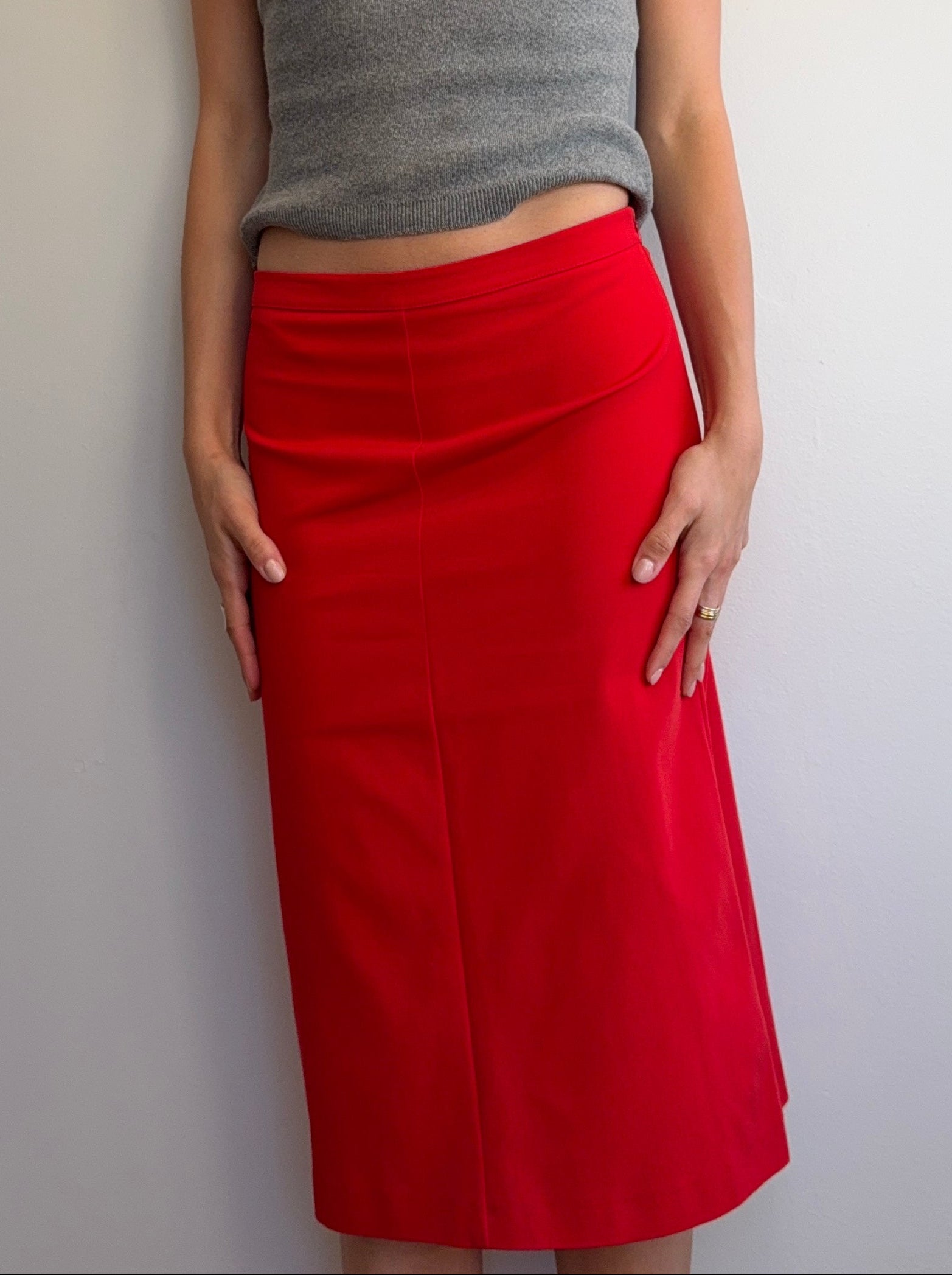 Anna Molinari Skirt