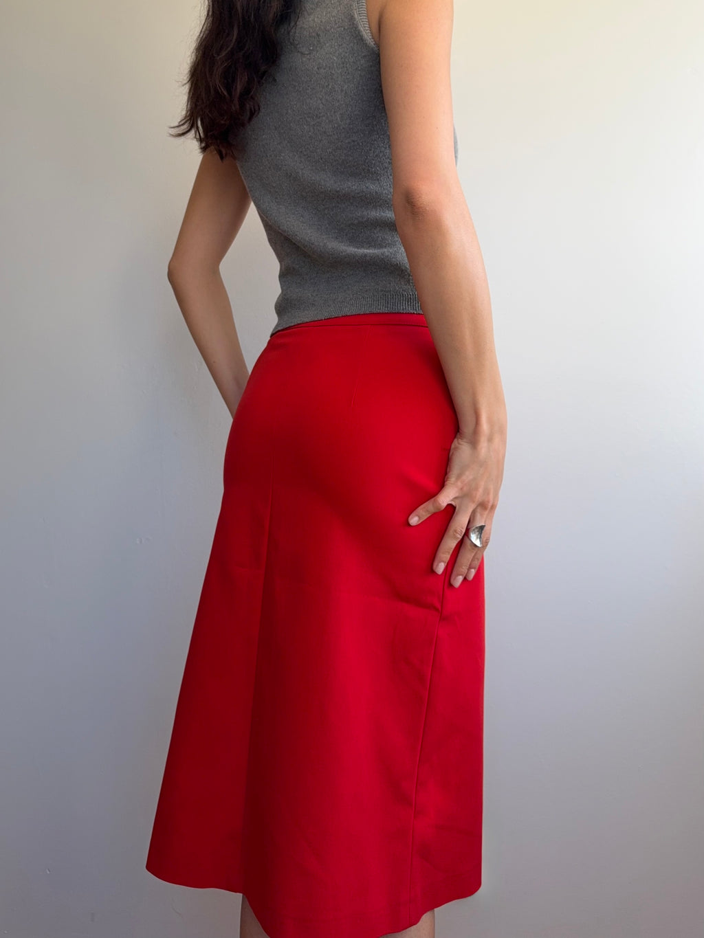Anna Molinari Skirt